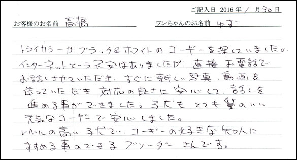 コッカーお客様の声