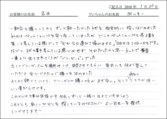 コッカーお客様の声