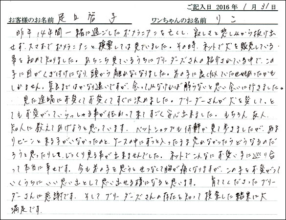 コッカーお客様の声