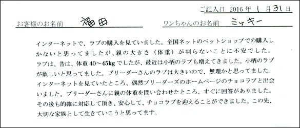 コッカーお客様の声