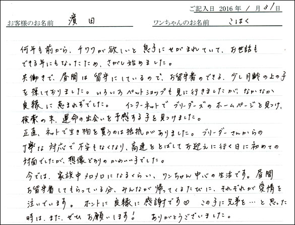 コッカーお客様の声