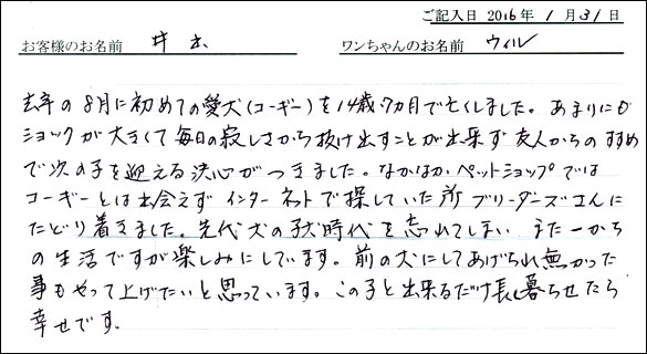 コッカーお客様の声