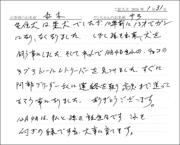コッカーお客様の声