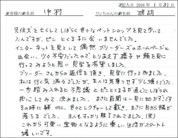 コッカーお客様の声