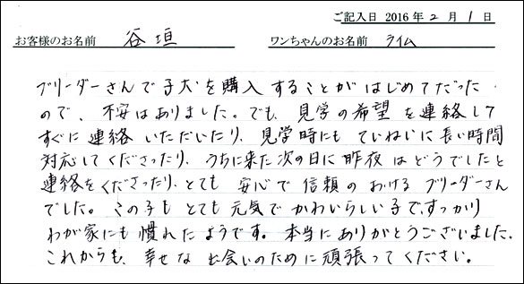 コッカーお客様の声