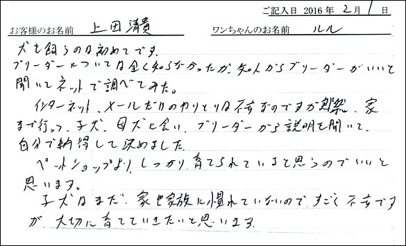 コッカーお客様の声
