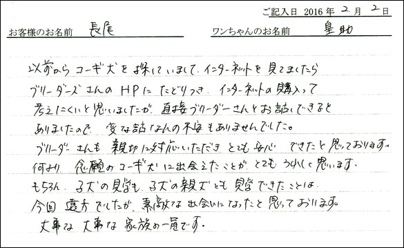 コッカーお客様の声