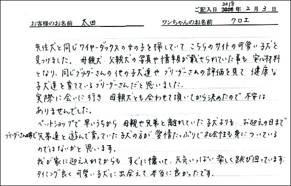 コッカーお客様の声