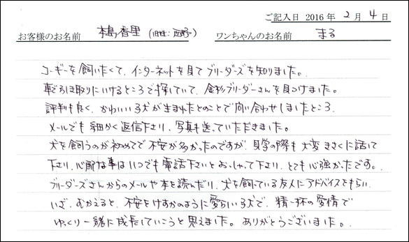 コッカーお客様の声