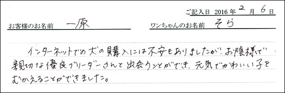 コッカーお客様の声