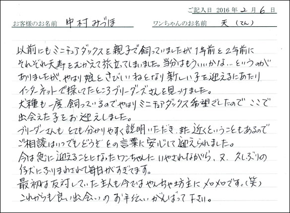 コッカーお客様の声