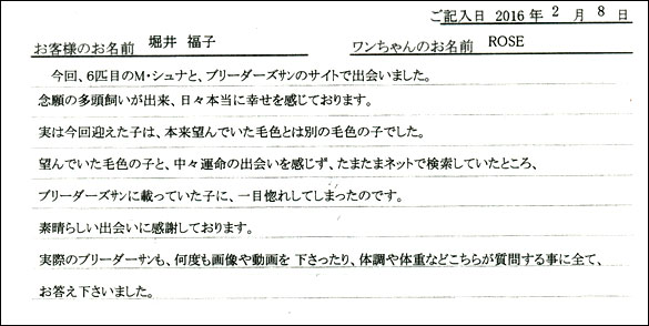 コッカーお客様の声
