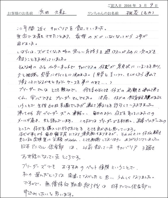 コッカーお客様の声