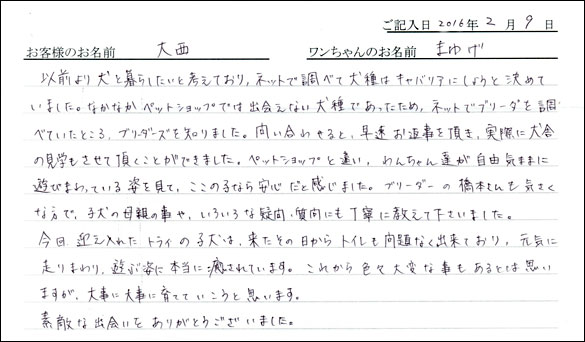 コッカーお客様の声