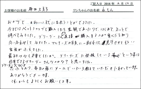 コッカーお客様の声