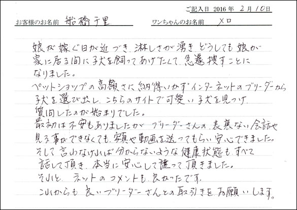 コッカーお客様の声