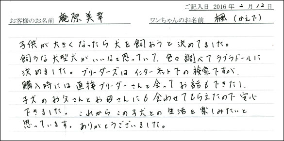 コッカーお客様の声