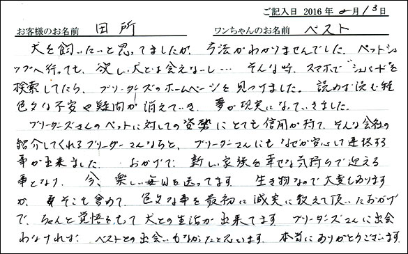 コッカーお客様の声
