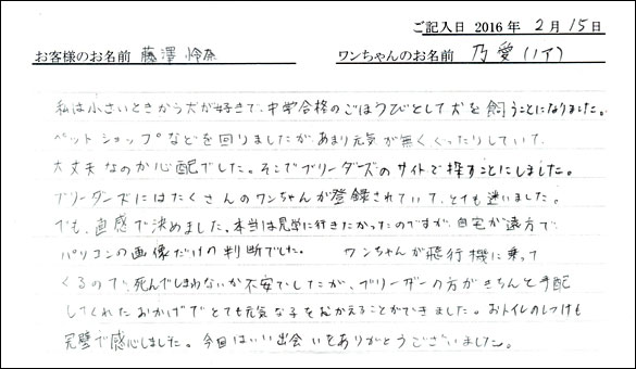 コッカーお客様の声