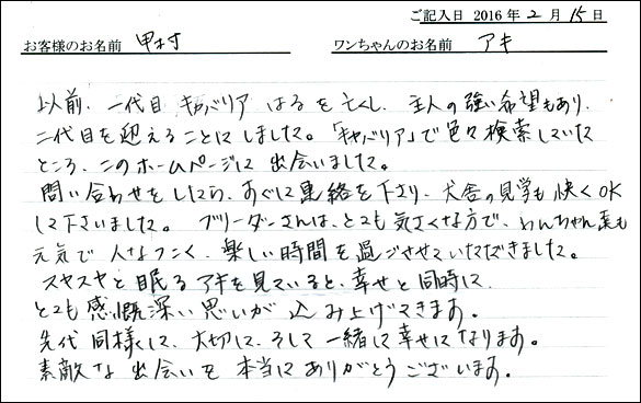 コッカーお客様の声