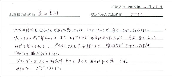 コッカーお客様の声