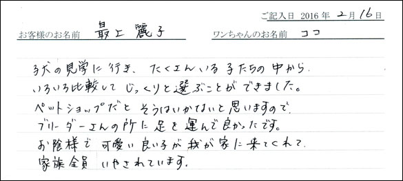 コッカーお客様の声