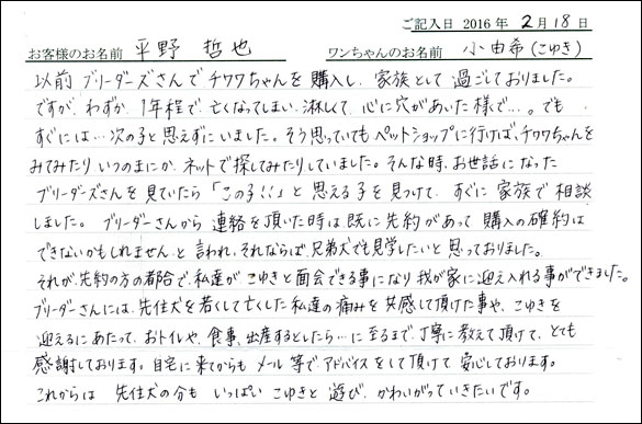 コッカーお客様の声
