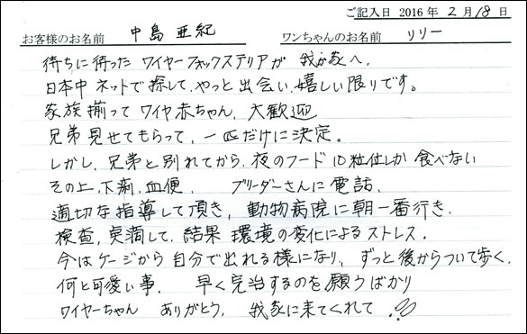 コッカーお客様の声