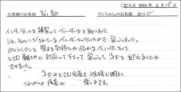 コッカーお客様の声