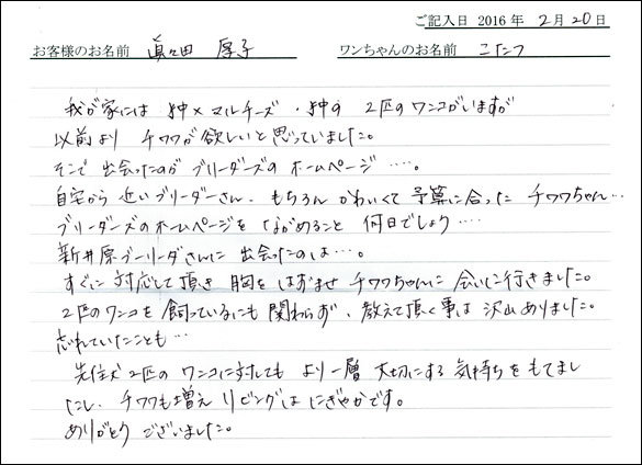 コッカーお客様の声