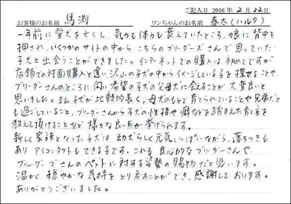 コッカーお客様の声