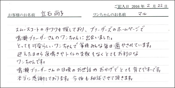 コッカーお客様の声