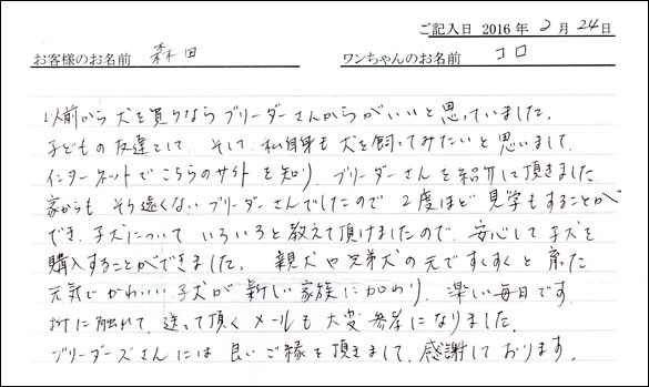 コッカーお客様の声