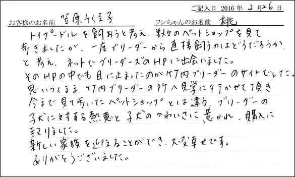 コッカーお客様の声