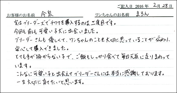 コッカーお客様の声