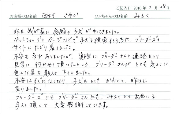 コッカーお客様の声