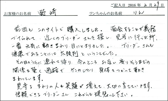 コッカーお客様の声