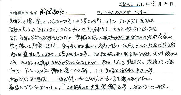 コッカーお客様の声