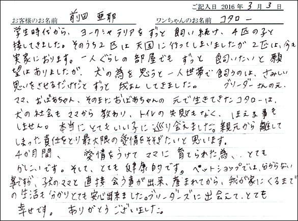 コッカーお客様の声