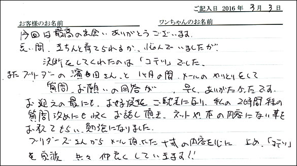 コッカーお客様の声
