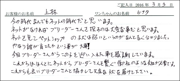 コッカーお客様の声
