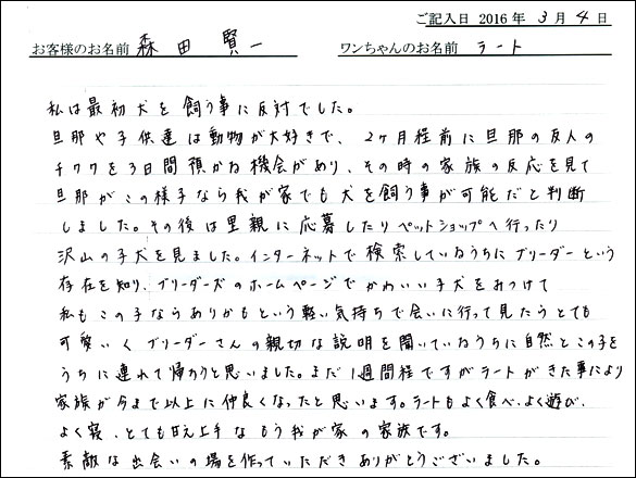 コッカーお客様の声