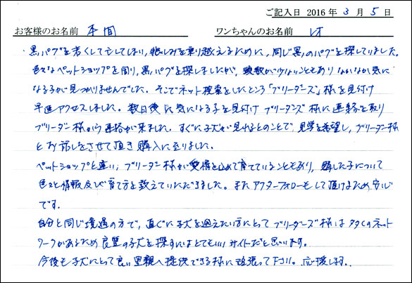 コッカーお客様の声
