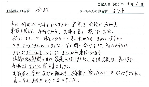 コッカーお客様の声