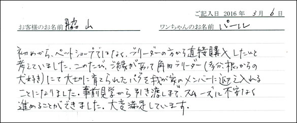 コッカーお客様の声