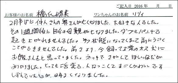 コッカーお客様の声