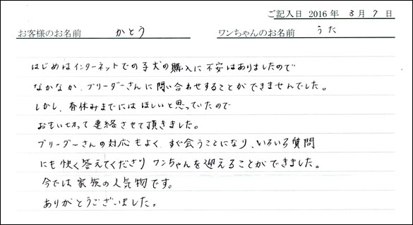 コッカーお客様の声