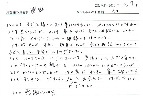 コッカーお客様の声
