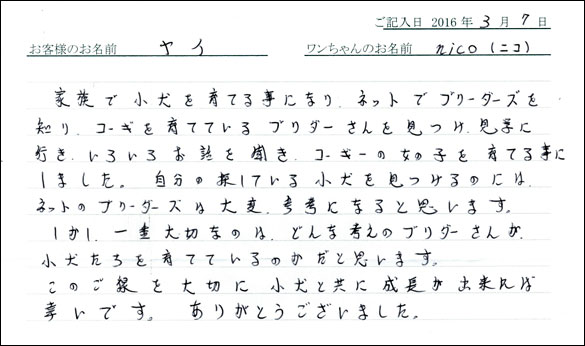 コッカーお客様の声