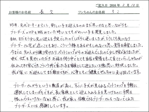 コッカーお客様の声